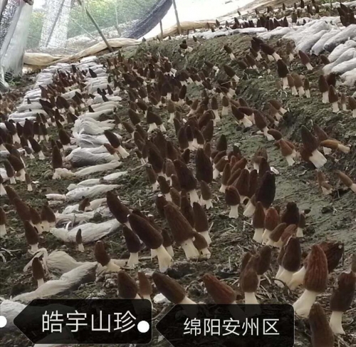 &#19975;&#35937;&#22478;&#22312;&#32447;&#45;&#19975;&#35937;&#22478;&#65288;&#20013;&#22269;&#65289;