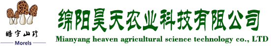 &#19975;&#35937;&#22478;&#22312;&#32447;&#45;&#19975;&#35937;&#22478;&#65288;&#20013;&#22269;&#65289;
