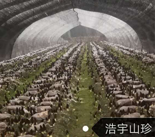 &#19975;&#35937;&#22478;&#22312;&#32447;&#45;&#19975;&#35937;&#22478;&#65288;&#20013;&#22269;&#65289;