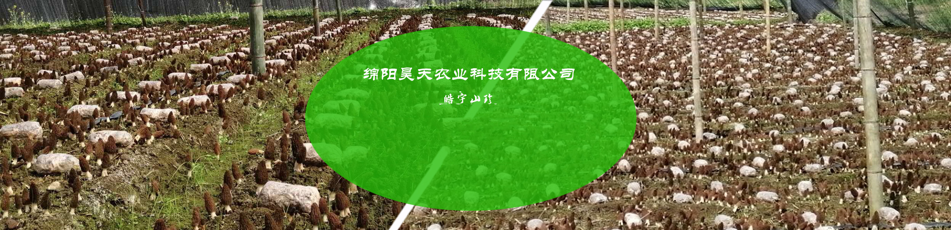 &#19975;&#35937;&#22478;&#22312;&#32447;&#45;&#19975;&#35937;&#22478;&#65288;&#20013;&#22269;&#65289;